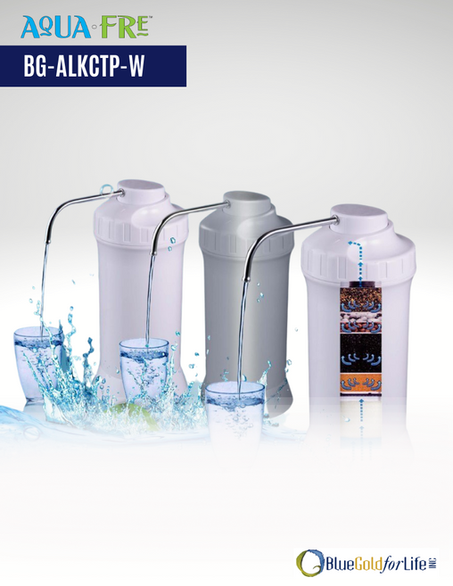 Alkaline Ionizer Countertop Water Filtration System (BG-ALKCTP-W)