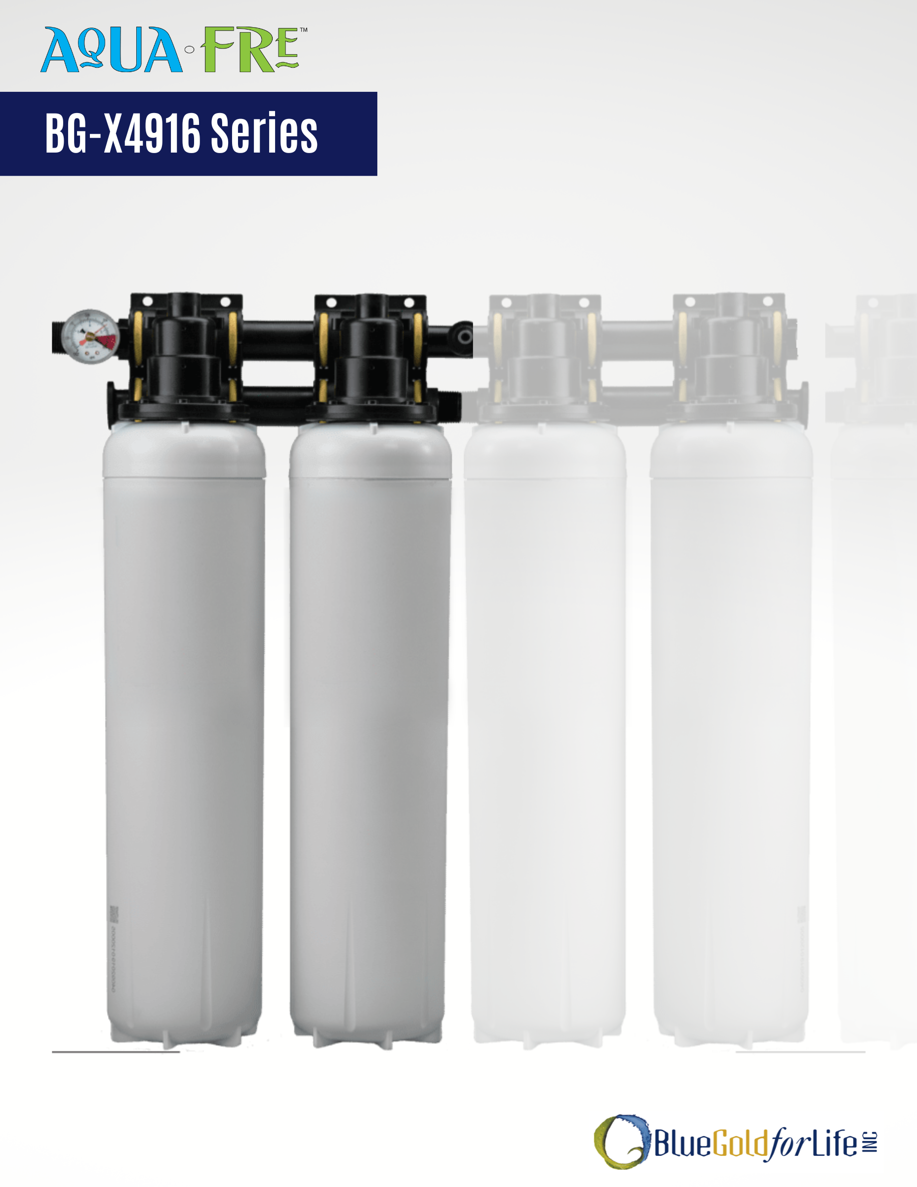 Modular Filtration System BG-X4916 Modular Water Filtration System | Commercial – Blue Gold For ...