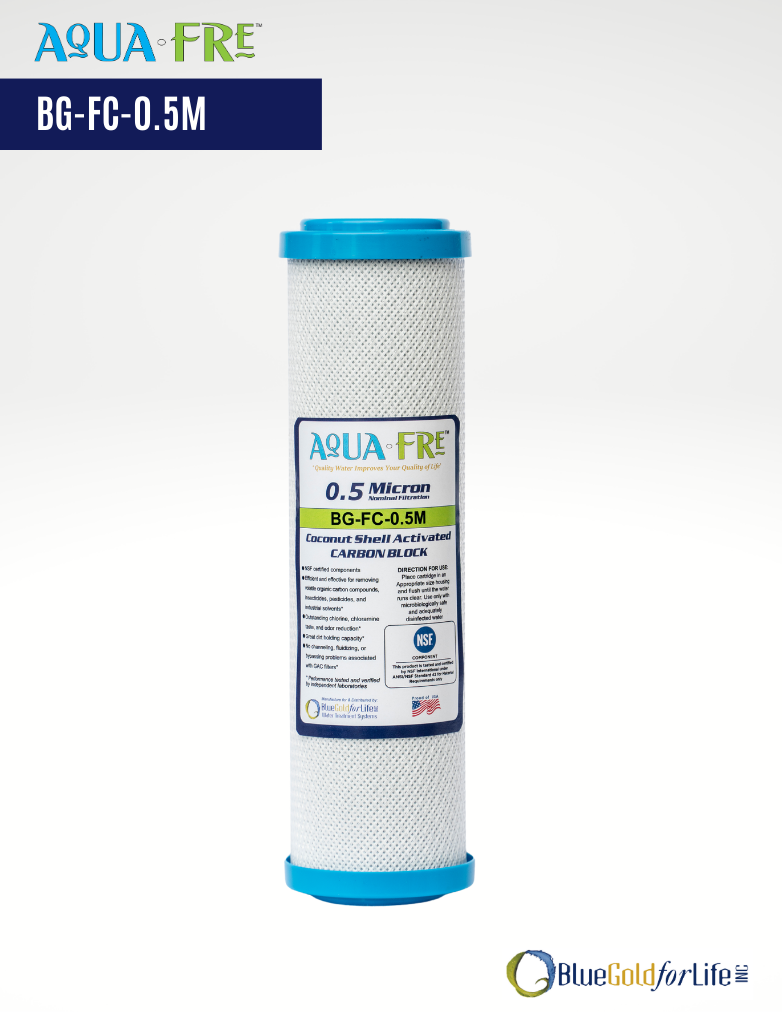 Coconut Shell CTO, Cyst Carbon Block Water Filter Cartridge, 0.5 micron 2.5 x 10 (BG-FC-0.5M)